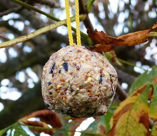 vegan bird-fat-balls