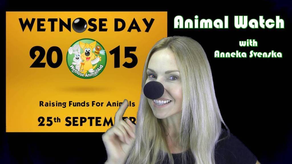 Anneka Svenska Wetnose Day