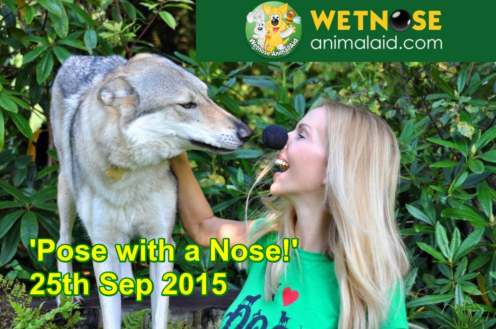 Anneka Svenska and Wolfdog for Wetnose Day 2015 - Wetnose Animal Aid