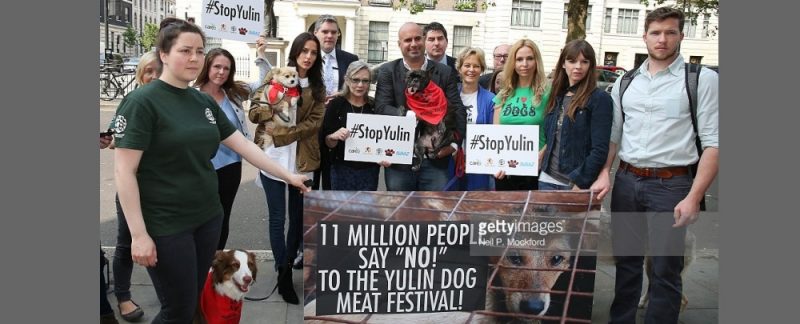 Carrie Fisher Anneka Svenska Humane Society International Chinese Embassy London June 6th 2016