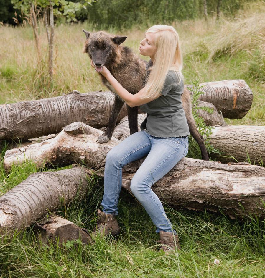 Anneka Svenska with Mai the wolf at The Wolf Conservation Trust